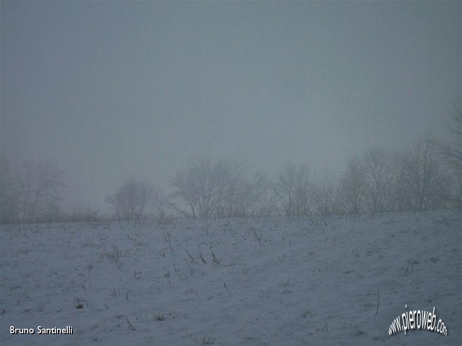 16 è salita la nebbia.JPG